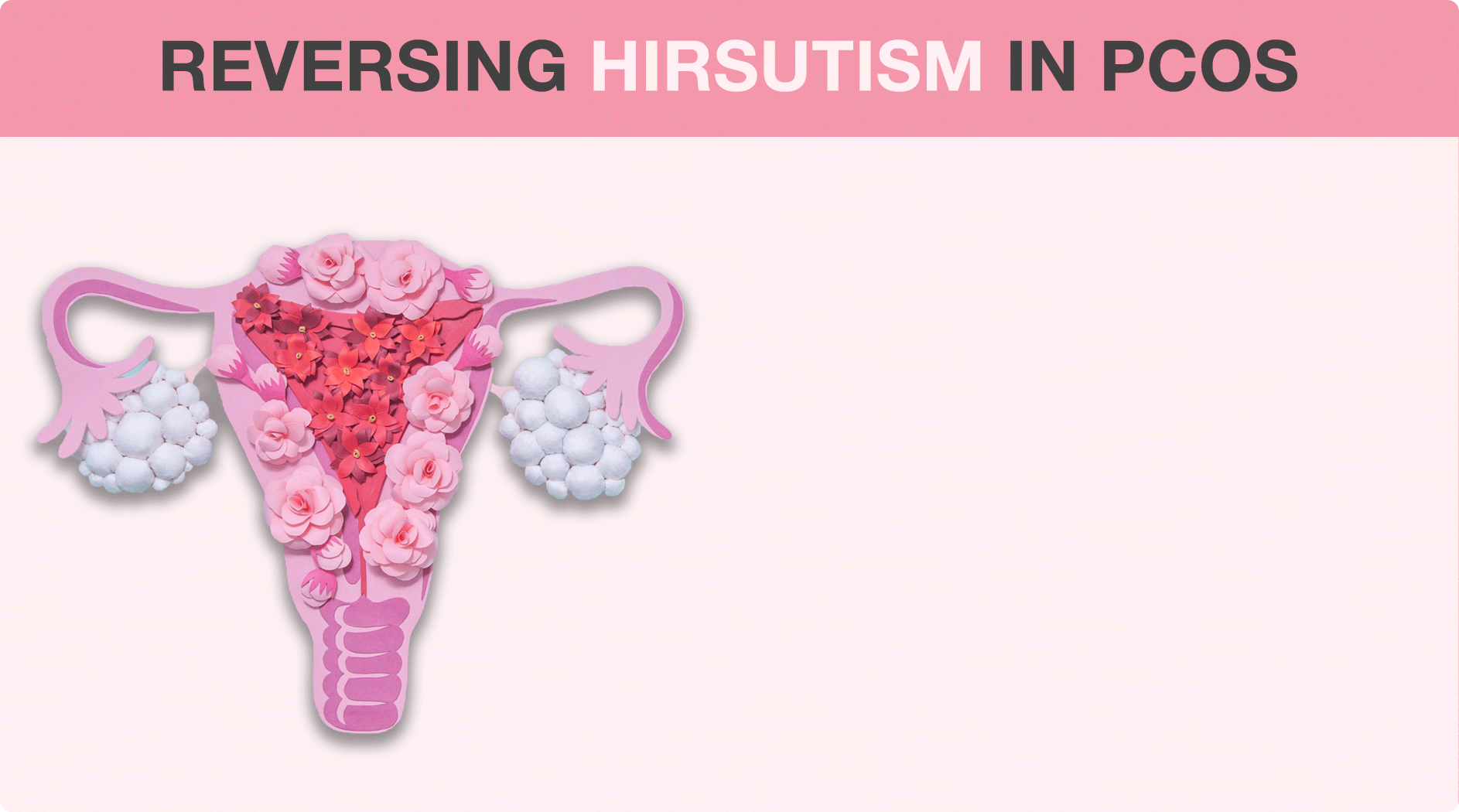 l-carnitine hirsutism is an amino acid that is produced in your body that helps the body turn fat into energy. Carnitine is found in nearly all cells of the body and researchers have Hirsutism:The Real Reason Behind Excess