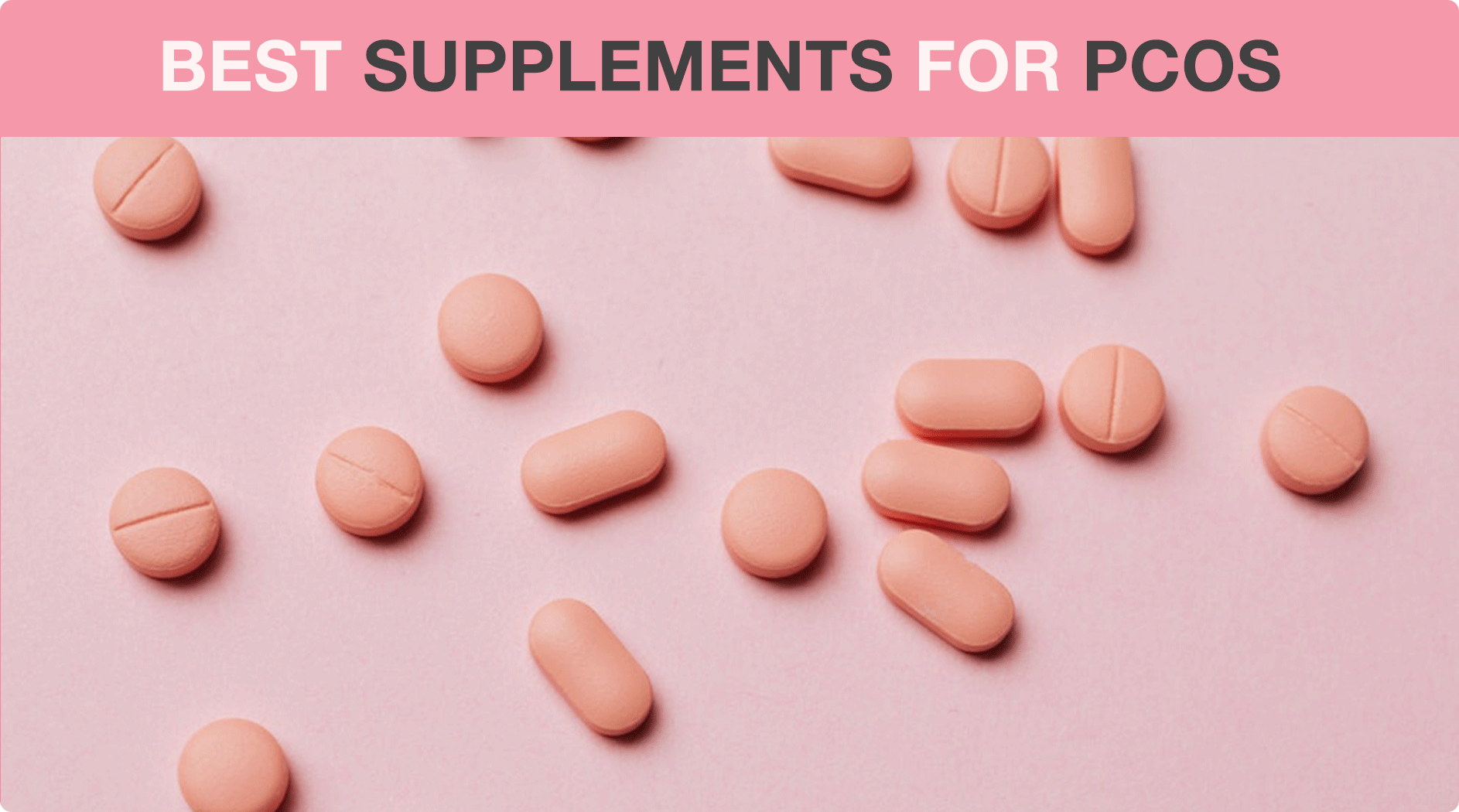 asitis l carnitine powder Buy L-Carnitine Powder | L-Carnitine asitis l carnitine powder Buy L-Carnitine Powder | L-Carnitine