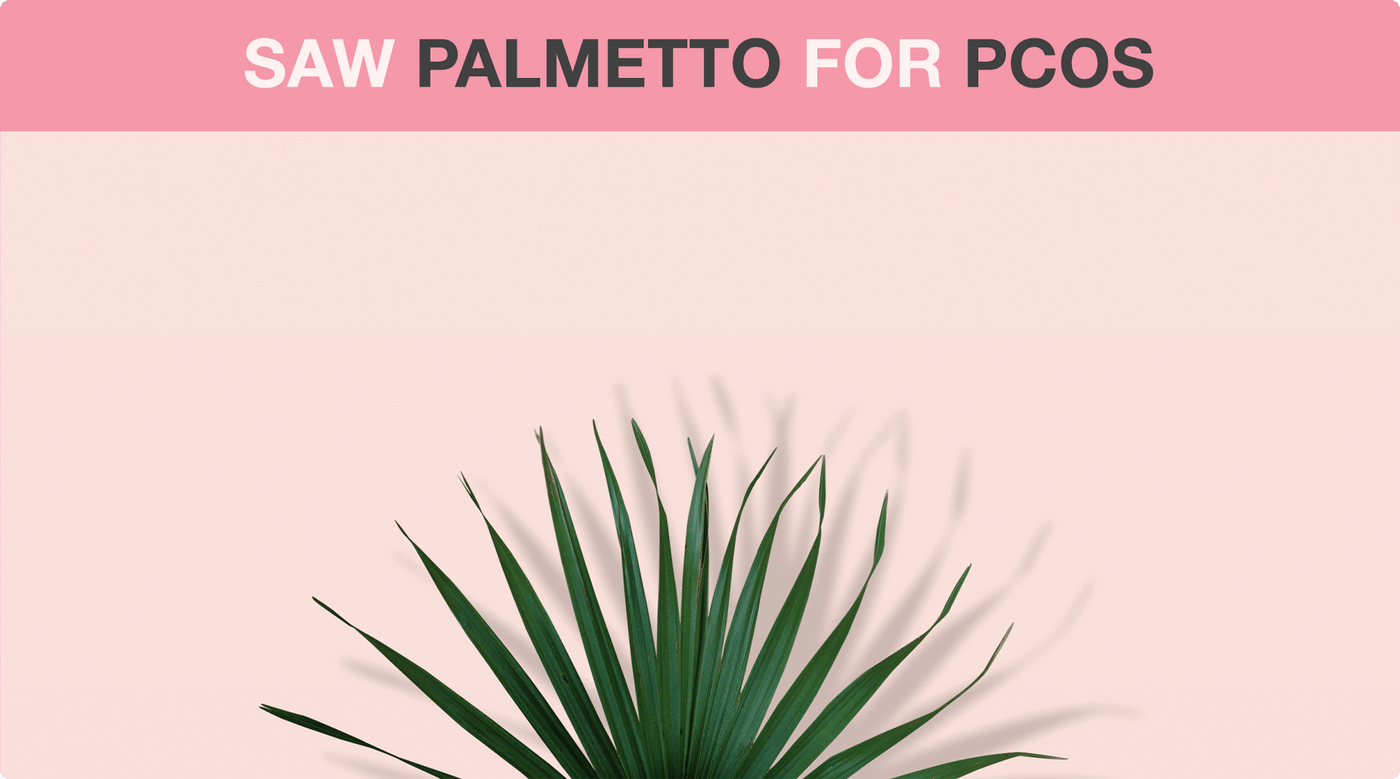 Benefits Of Saw Palmetto For PCOS