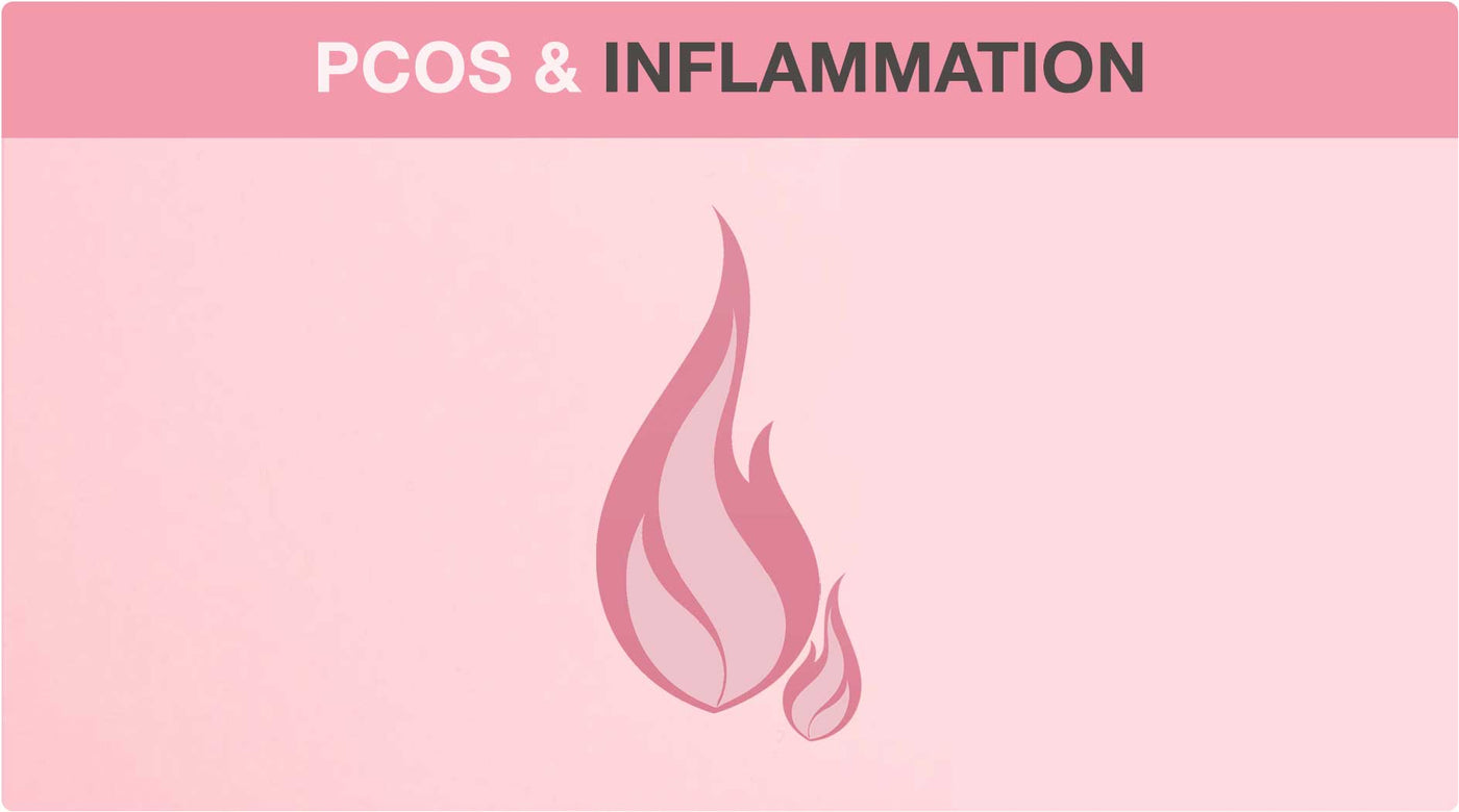 PCOS 101: PCOS And Inflammation (Part 1)
